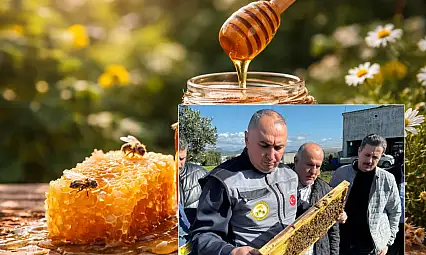 TAB Başkanı Ali Demir: Koloni sayısı azaldı, bal üretimi arttı