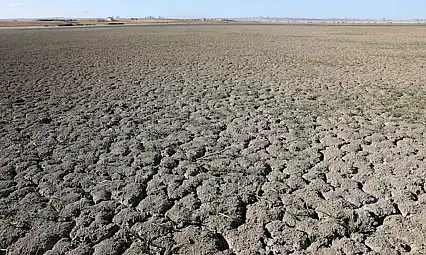 Türkiye'de İçme Suyu Alarm Veriyor: İşte Tehlikenin Boyutu