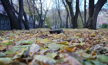 Ülke genelinde yağış beklenmiyor