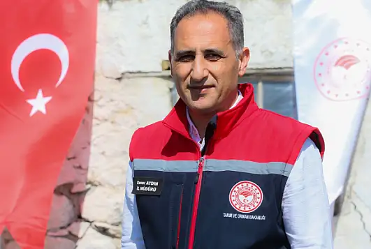 Kars'ta asırlık koç katım geleneği renkli görüntülerle yaşatılıyor