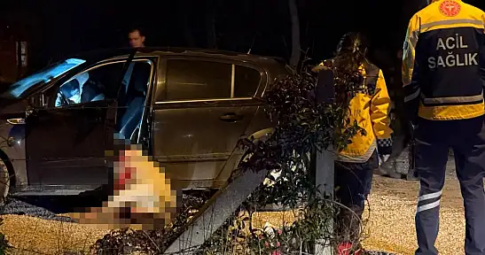 Otomobilde işlenen cinayetle ilgili 2 tutuklama