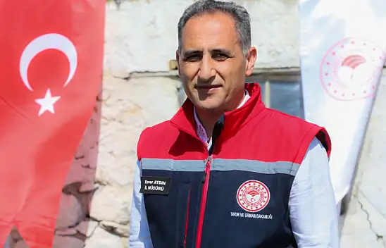 Kars'ta asırlık koç katım geleneği renkli görüntülerle yaşatılıyor