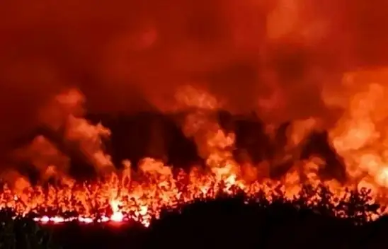 3 ildeki 4 orman yangını devam ediyor