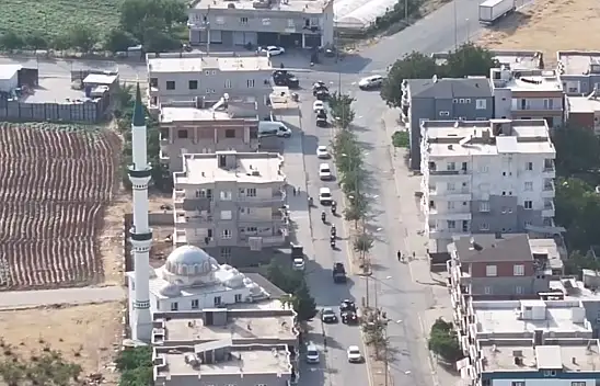 61 Parça Bonzai Ele Geçirildi! 8 Kişi Tutuklandı