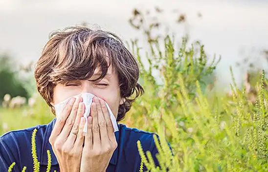 Alerjik Rinit Nasıl Anlaşılır, Nasıl Tedavi Edilir? İşte Detaylar
