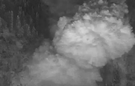 Ayder Yaylası'na çığ düştü