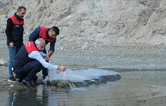 Baraj ve Göletlere 2,2 Milyon Sazan Yavrusu