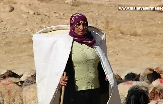 Borçla hayvancılığa başlayan kadın yetiştirici koyun sayısını 30'dan 300'e çıkardı