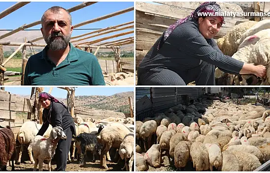 Depremde hayvanları telef olan kadın besici devlet desteğiyle ayağa kalktı