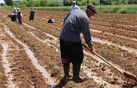 Destekleme Ödemeleri Başladı Kim, Ne Kadar Alacak?