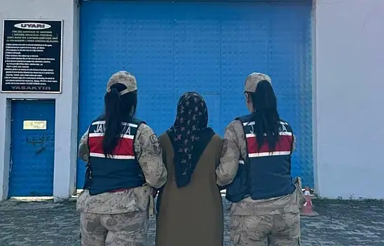 FETÖ Firarisi 2 Kişi Jandarma Operasyonuyla Tutuklandı