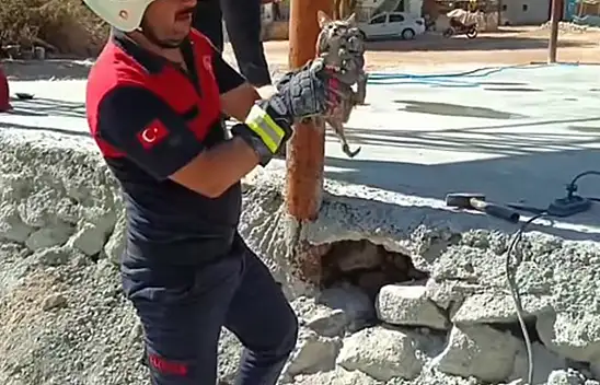 Küçük Bir Miyav Büyük Bir Kurtuluşun Habercisi Oldu