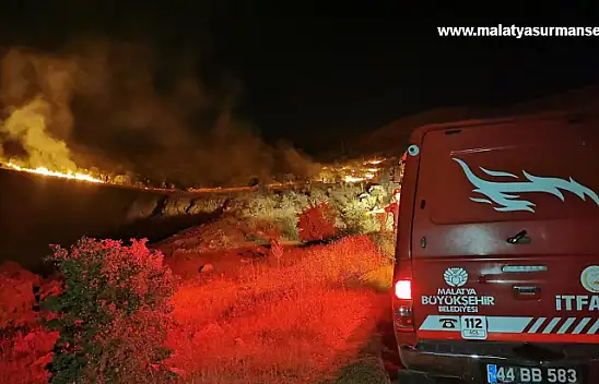 Malatya'da çıkan orman yangını söndürüldü