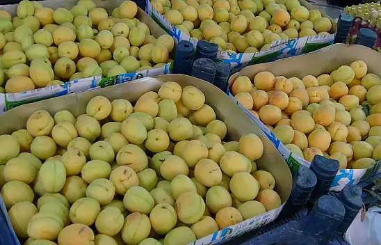 Malatya'da Kayısı Kuyumcu Raflarına mı Girecek?