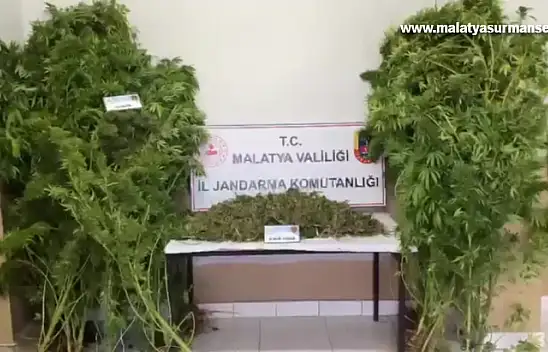 Malatya'daki uyuşturucu operasyonunda 2 zanlı tutuklandı