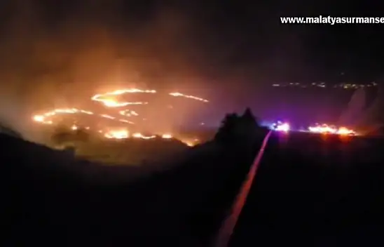 Malatya'nın Akçadağ ilçesinde dağlık alanda çıkan yangına müdahale ediliyor