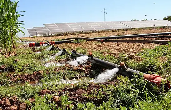 Mazot ve Gübre Desteği Hesaplara Geçiyor Kimler Alacak?