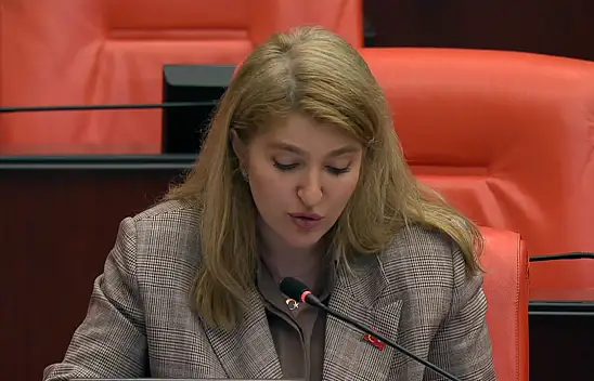 Milletvekili Ölmeztoprak Malatyalı Üreticilerin Sorunlarını TBMM'de Gündeme Taşıdı