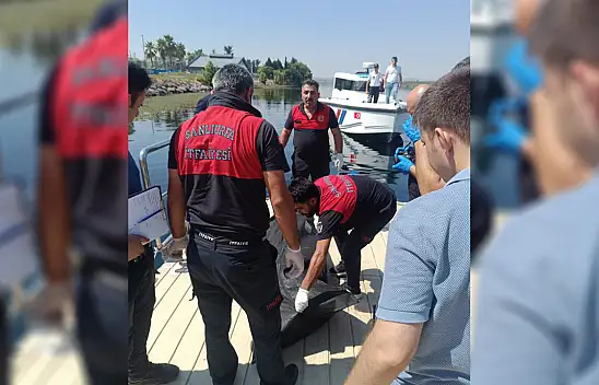 Nehrin Sessizliği Ölümle Bozuldu! Fırat'ta Kimliği Belirsiz Ceset