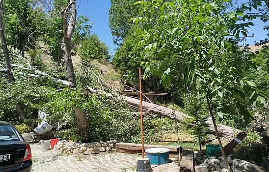 Şiddetli Fırtına Darende'yi Vurdu Evlerin Ortasına Ağaç Düştü