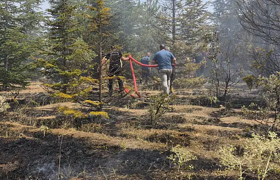 Sigara ve Cam Şişe Orman Yangınına Neden Olabilir mi?