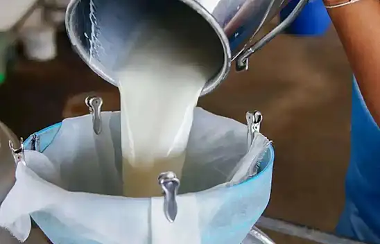 Süt ve Süt Ürünleri Üretimi Mart'ta Nasıl Bir Değişim Gösterdi?