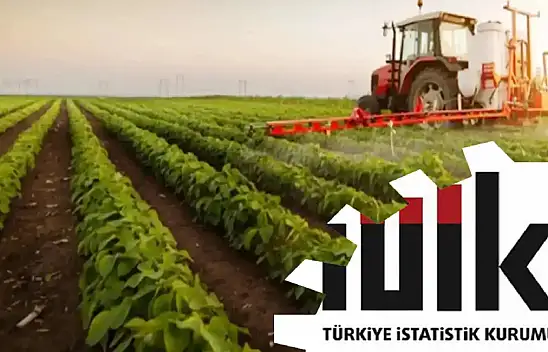 Tarım Ürünlerinde Temmuz Ayı Endeksi Şaşırttı