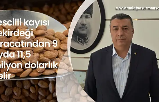 Tescilli kayısı çekirdeği ihracatından 9 ayda 11,5 milyon dolarlık gelir