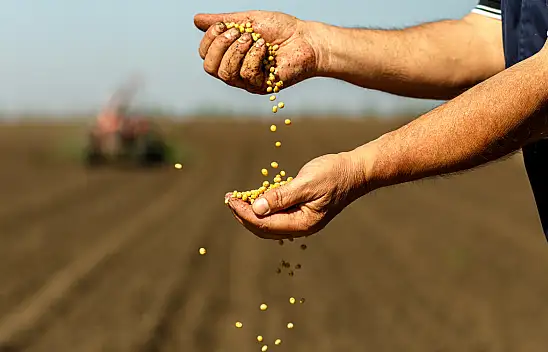 Türkiye'nin Tarım Geliri 74 Milyar Dolara Ulaştı Rekor Kırıldı