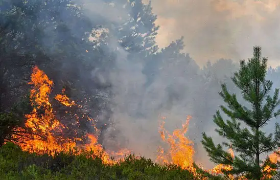 Yangınla Savaşta Büyük Dönüşüm! 23 Yılda Neler Değişti?