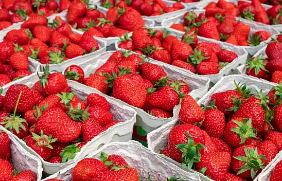 Yaz Sofralarının Vazgeçilmezi Çilek Neden Bu Kadar Faydalı?