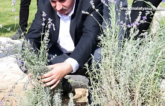 Başkan Çınar, Bostanbaşı Mahallesindeki Lavanta Parkı İnceledi