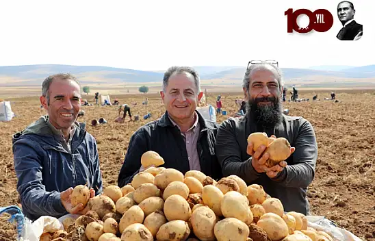 Malatya'da patatesten 6 bin ton rekolte bekleniyor