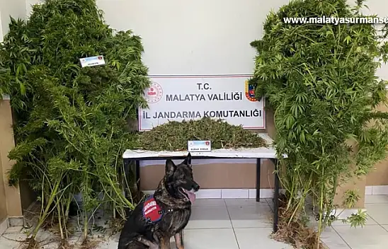 Malatya'da Uyuşturucu operasyonunda 2 zanlı tutuklandı