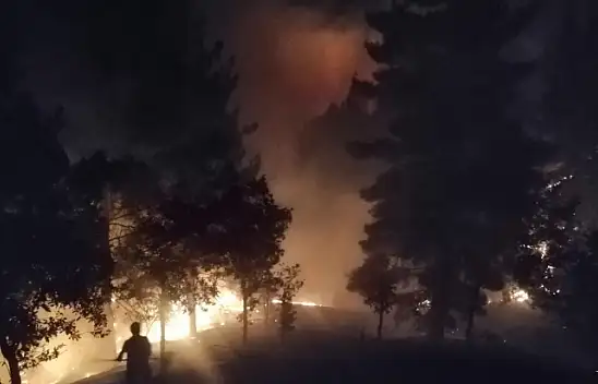 Pütürge'de ormanlık alan yandı