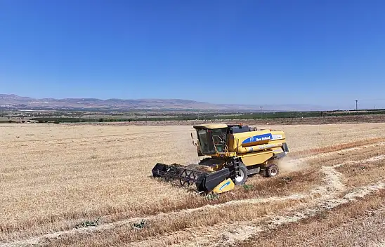 Tarıma Bir Destek Daha: Ücretsiz Arpalar Dağıtılacak