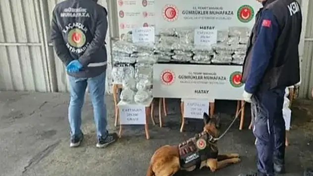 1 Milyon 392 Bin Adet Uyuşturucu Hap Ele Geçirildi