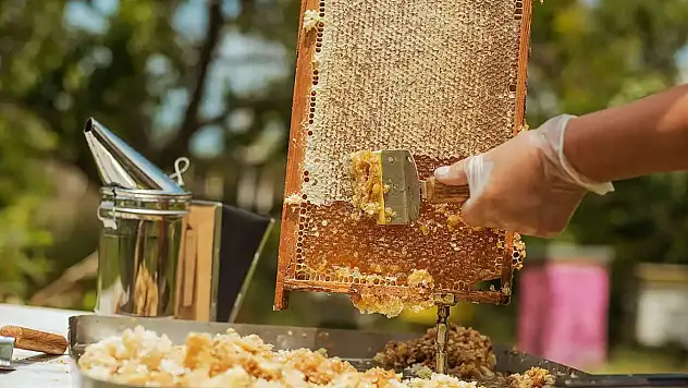 46 ülkeye bal ihracatı