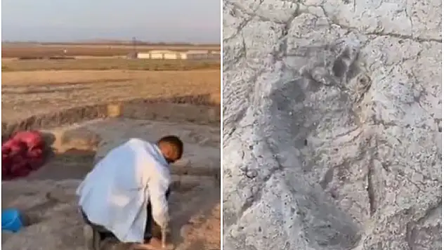 7 Bin Yıl Öncesine Ait İnsan Ayak İzleri Bulundu