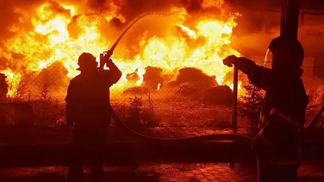 Ahırda çıkan yangında 170 koyun telef oldu