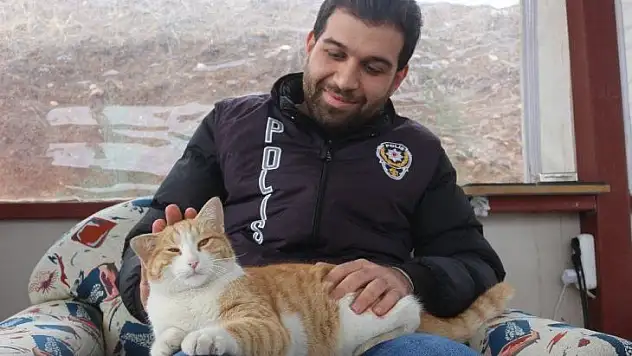 Annesini kazada kaybeden yavru kediye polisler sahip çıktı