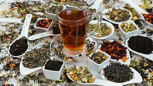 Bağışıklık İçin İçilen Bitki Çayları Ne Kadar Güvenli?