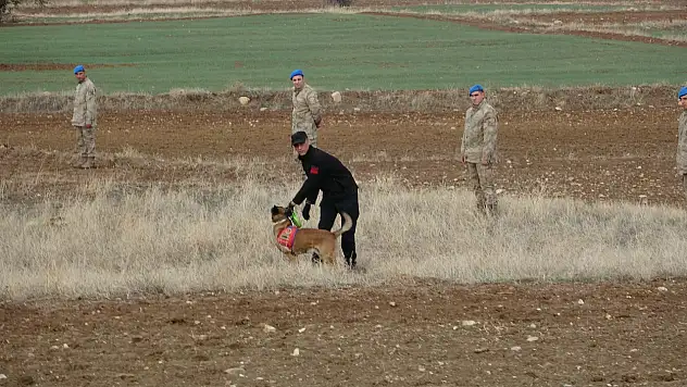 Başsız Ceset Olayında Kritik Kamera Kaydı Ortaya Çıktı!