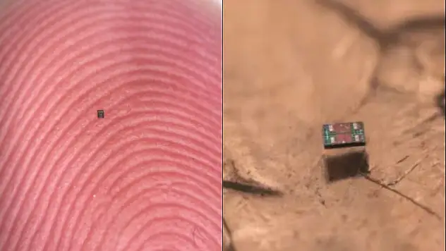 Bilim İnsanları Başardı: Tuz Tanesi Kadar Otonom Robot