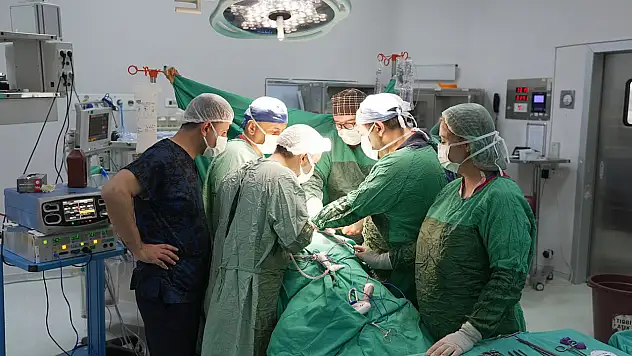 Böbrek korunarak 3 santimetrelik tümör alındı