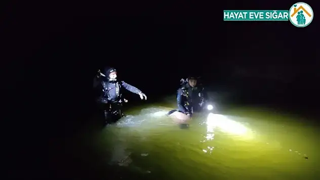 Bursa'da serinlemek için çaya giren genç bir daha çıkamadı