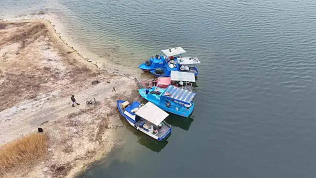 Denizi olmayan Malatya'da balık ihracatı