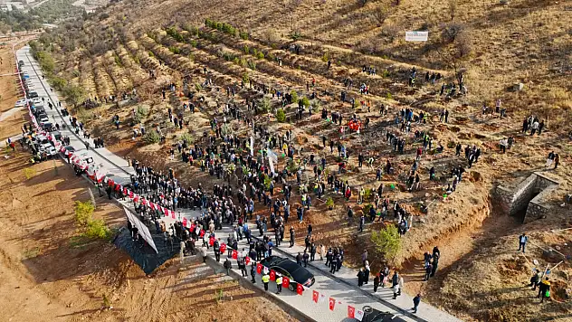 Deprem Şehitleri İçin Hatıra Ormanı Yenileme Çalışmaları Başladı