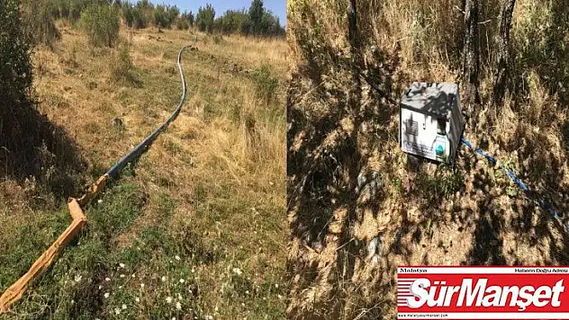 Diyarbakır'da teröre büyük darbe: 6 milyon kök keneviri ele geçirildi