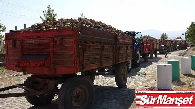 Elazığ'da 165 bin ton üretimi beklenen pancarın alım kampanyası başladı